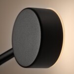 Фото 3 Настенный светильник (бра) Freya FR5440WL-L17B