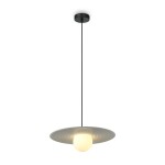 Фото 5 Подвесной светильник Freya FR5390PL-01W