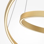 Фото 4 Подвесной светильник Maytoni MOD058PL-L55BSK