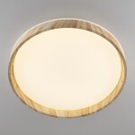 Фото 1 CL753452G ENZO Клен LED Св-к с пультом