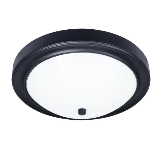 Фото Потолочный светильник Arte Lamp JAMES A4049PL-3BK