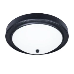 Фото Потолочный светильник Arte Lamp JAMES A4049PL-3BK