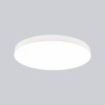 Фото 9022 Потолочный светильник TURIN