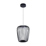 Фото Подвесной светильник Arte Lamp FLARE A3528SP-12BK