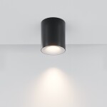 Фото 1 Потолочный светильник Technical C094-GU10-B