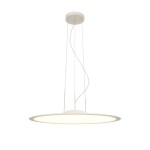 Фото 5 Подвесной светильник Maytoni MOD471PL-L57WK