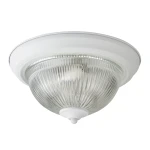 Фото Потолочный светильник Arte Lamp AQUA A9370PL-2WH