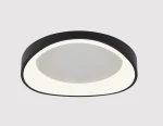 Фото Потолочный светильник Arte Lamp A2698PL-60BK