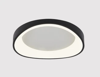 Фото Потолочный светильник Arte Lamp A2698PL-60BK