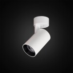 Фото 3 CL01B070N Тубус Белый Св-к Наст-Потол. 7W*4000K