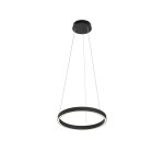 Фото 4 Подвесной светильник Maytoni MOD058PL-L22BK