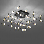 Фото 2 Потолочный светильник Molecular 36 black/gold