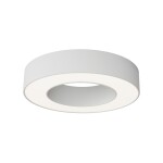 Фото 7 Потолочный светильник Technical C093CL-24W4K-W