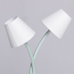 Фото 1 Настольная лампа Аэлита 480033302