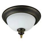 Фото Потолочный светильник Arte Lamp BONITO A9518PL-2BA