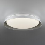 Фото 5 CL752451G MEGA Белый+Серый LED Св-к с пультом