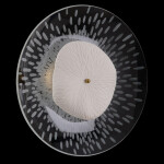 Фото 3 Бра Crystal Lux CONTESSA AP2.1