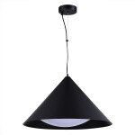 Фото 1 SL6501.423.01 Светильник подвесной ST-Luce Черный/Черный LED 1*25W 3000K TRESOR