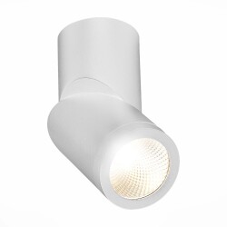 Фото ST650.542.10 Светильник потолочный Белый LED 1*10W 4000K 800Lm Ra&gt;90 38° IP44 D62xH151 165-265V Накладные светильники