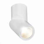 Фото ST650.532.10 Светильник потолочный Белый LED 1*10W 3000K 800Lm Ra&gt;90 38° IP44 D62xH151 165-265V Накладные светильники