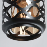 Фото 4 Люстра  112011201