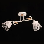 Фото 2 Люстра  635014902