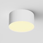 Фото 3 Потолочный светильник Technical C032CL-12W2.7K-RD-W