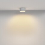 Фото 4 Потолочный светильник Technical C032CL-12W2.7K-RD-W