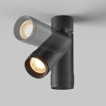 Фото 4 Потолочный светильник Technical C055CL-L12W2.7K-Z-B