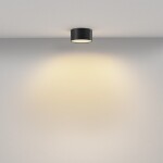 Фото 3 Потолочный светильник Technical C032CL-12W2.7K-RD-B