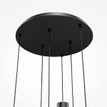 Фото 4 Подвесной светильник Maytoni MOD414PL-06B