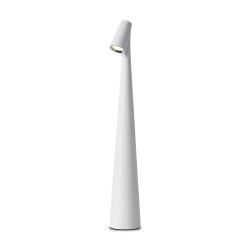 Фото Настольный светильник Freya FR6188TL-L3W