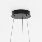 Фото 4 Подвесной светильник Maytoni MOD058PL-L54BK