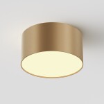 Фото 3 Потолочный светильник Technical C032CL-12W2.7K-RD-MG