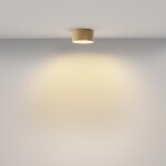 Фото 6 Потолочный светильник Technical C032CL-12W2.7K-RD-MG