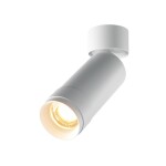 Фото 2 Потолочный светильник Technical C055CL-L12W2.7K-Z-W