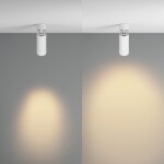 Фото 8 Потолочный светильник Technical C055CL-L12W2.7K-Z-W