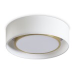 Фото 3 Потолочный светильник Freya FR6170CL-L52BS