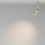 Фото 6 Потолочный светильник Technical C142CL-6W3K-BS