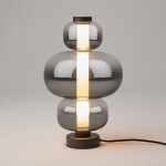 Фото 2 Настольный светильник Maytoni MOD364TL-L15B3K
