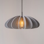 Фото 3 Подвесной светильник Maytoni MOD398PL-01GR1