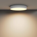 Фото 4 Потолочный светильник Technical C032CL-45W2.7K-RD-W