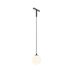 Фото Трековый подвесной светильник Technical TR178-1-5WTW-B