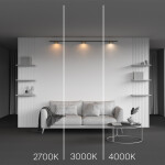 Фото 4 Трековый светильник Technical TR189-1-12W2.7K-BBS
