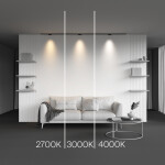 Фото 3 Трековый светильник Technical TR193-1-5W2.7K-M-B