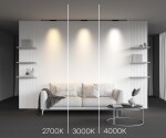 Фото 3 Трековый светильник Technical TR193-1-10W2.7K-M-B