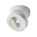 Фото Потолочный светильник Technical C022CL-12W4K-W-1