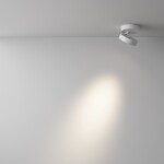Фото 7 Потолочный светильник Technical C022CL-12W4K-W-1