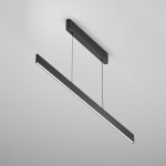 Фото 1 Подвесной светильник Technical P109PL-36W2.7-6K-B