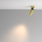 Фото 6 Потолочный светильник Technical C108CL-01-GU10-BS